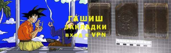 прущие грибы Алзамай