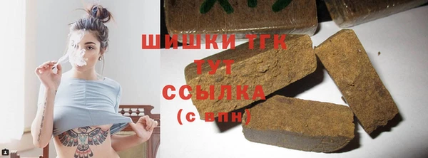 прущие грибы Алзамай