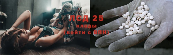 ПСИЛОЦИБИНОВЫЕ ГРИБЫ Алексин
