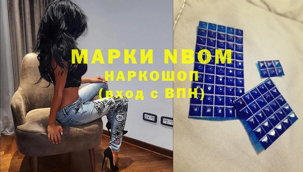 прущие грибы Алзамай