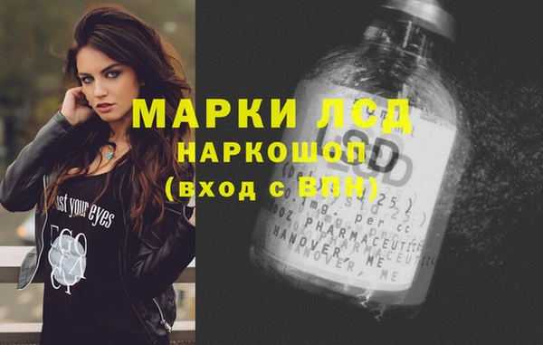 прущие грибы Алзамай