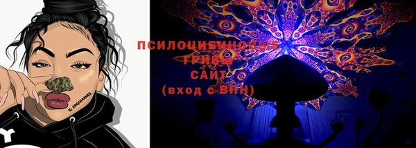 тгк Абаза