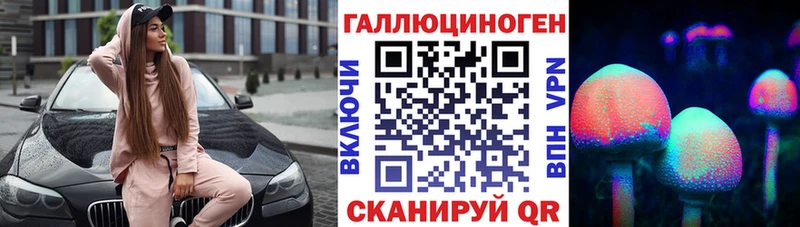 Галлюциногенные грибы Psilocybe  Талица 